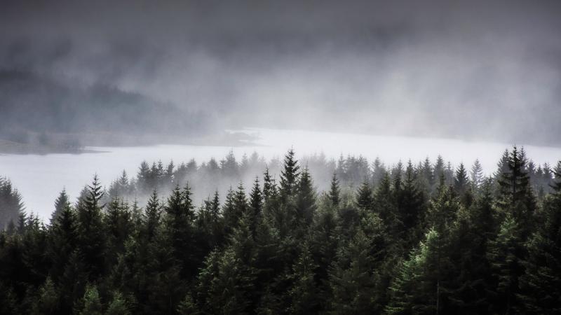 Újabb fejlemények érkeztek a Skóciában eltűnt ikrek ügyében.